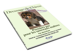 extrait dressage chien 7 semaines