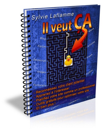 Il veut ca - ebook