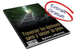 Extrait de Traverser les épreuves sans y laisser sa peau - ebook