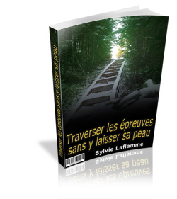 Traverser les épreuves sans y laisser sa peau - ebook