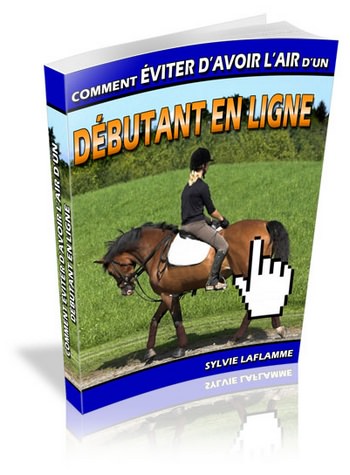 Comment éviter d'avoir l'air d'un débutant en ligne - ebook