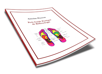Guide pratique réflexologie - ebook