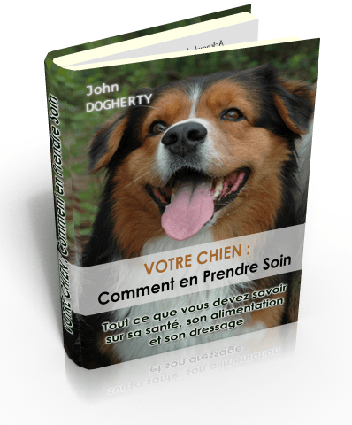 Apprenez à parler chien - ebook