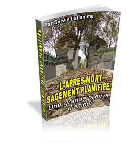 Comment trouver et travailler avec le meilleur associé ou partenaire - ebook