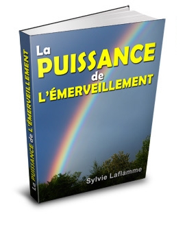 La puissance de l’émerveillement - ebook