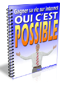 Gagner sa vie sur Internet ? Oui c’est possible ! - ebook