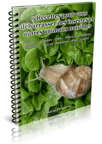 9 recettes pour vous débarrasser des insectes et autres animaux nuisibles - ebook