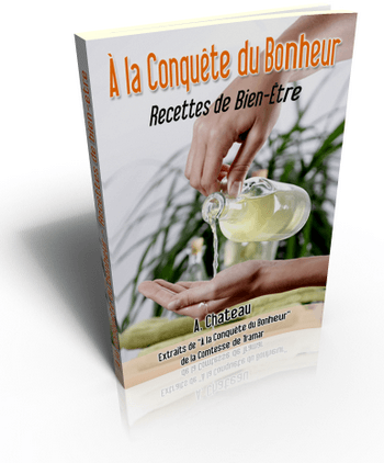 A la conquête du bonheur - ebook