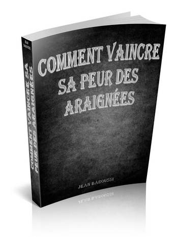 Comment vaincre sa peur des araignées ?
