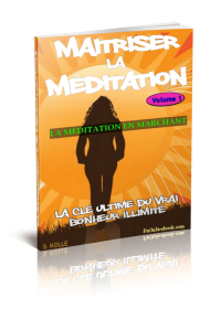 La méditation en marchant - ebook