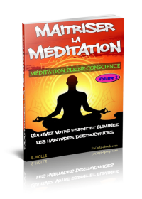 Méditation pleine conscience - ebook