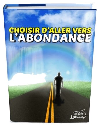 Choisir d'aller vers l'abondance - ebook