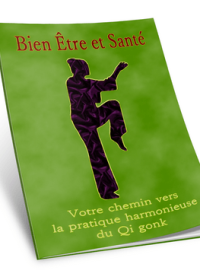 Votre chemin vers la pratique harmonieuse du Qi Gong - ebook gratuit