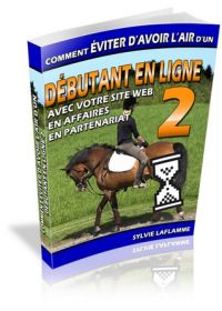 Comment éviter d'avoir l'air d'un débutant en ligne (vol.2)