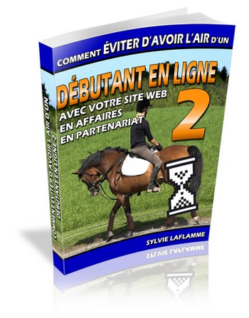 Comment éviter d'avoir l'air d'un débutant en ligne (vol.2)