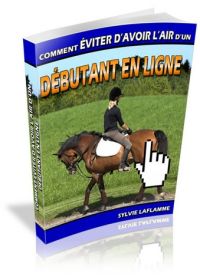 Comment éviter d'avoir l'air d'un débutant en ligne - ebook