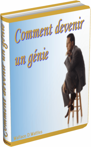 Comment Devenir Un Génie - ebook