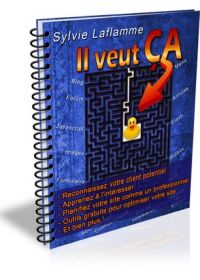 Il veut ça - ebook de Sylvie Laflamme