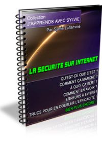 La Sécurité Sur Internet - ebook