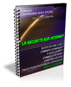 La Sécurité Sur Internet - ebook