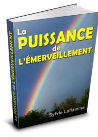 La puissance de l’émerveillement - ebook