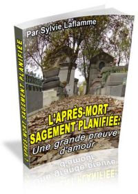 L'après-mort sagemen planifiée - ebook