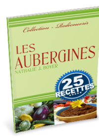 recettes aubergines - ebook