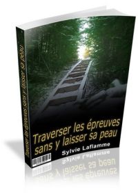 Traverser les épreuves sans y laisser sa peau - ebook