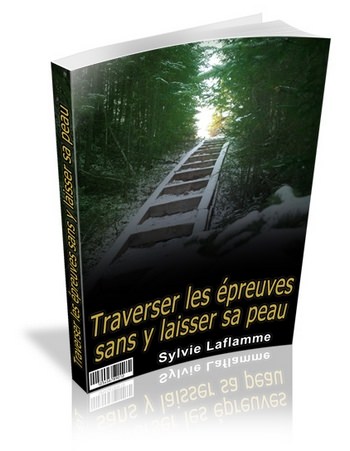 Traverser les épreuves sans y laisser sa peau - ebook