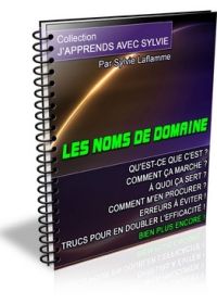Les Noms de Domaine - ebook