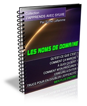 Les Noms de Domaine - ebook