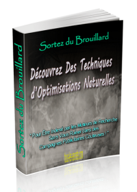 Techniques optimisation web seo - ebook
