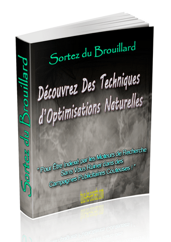 Techniques optimisation web seo - ebook