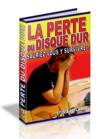 La perte du disque dur, sauriez-vous y survivre ? - ebook