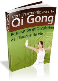 Vers l’harmonie avec le Qi Gong - eebook