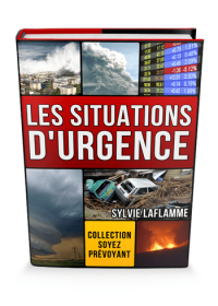 Les situations d'urgence - ebook