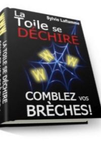 La toile se déchire, comblez vos brèches! - ebook