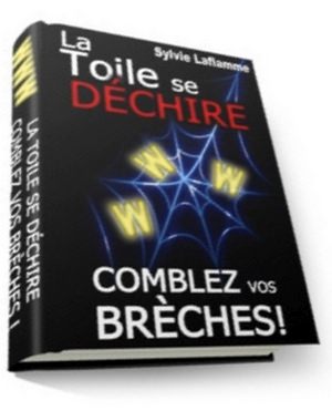 La toile se déchire, comblez vos brèches! - ebook