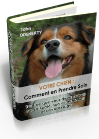 Votre chien, comment en prendre soin - ebook pdf